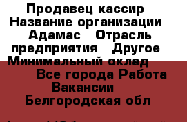 Продавец-кассир › Название организации ­ Адамас › Отрасль предприятия ­ Другое › Минимальный оклад ­ 26 500 - Все города Работа » Вакансии   . Белгородская обл.